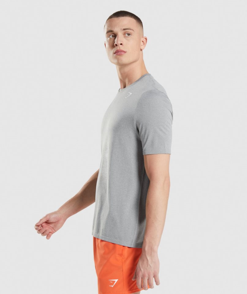 Koszulki Gymshark Arrival Seamless Męskie Głęboka Szare | PL 938QXJ